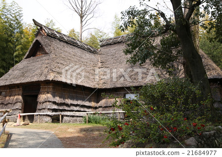 Private house village museum Private house village museum 21684977