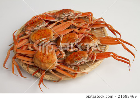 Fishes of snow crab Fishes of snow crab 21685469