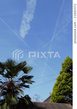 Hikikinueda藍天 21685472