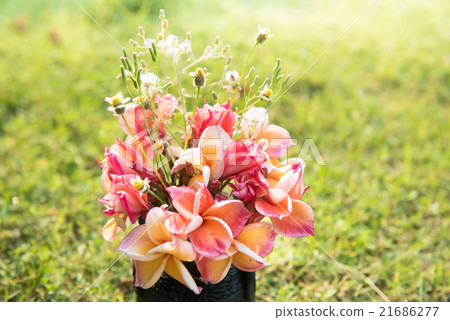 plumeria flower in the vase ,soft focus. plumeria flower in the vase ,soft focus. 21686277