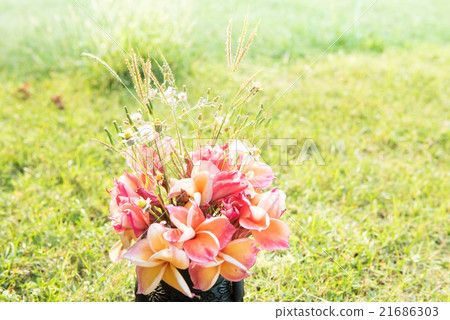 plumeria flower in the vase,soft focus. 21686303