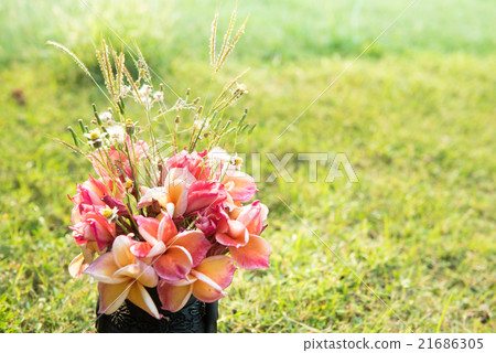 plumeria flower in the vase,soft focus. plumeria flower in the vase,soft focus. 21686305