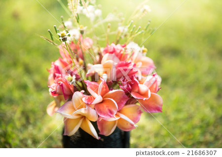 plumeria flower in the vase,soft focus. plumeria flower in the vase,soft focus. 21686307