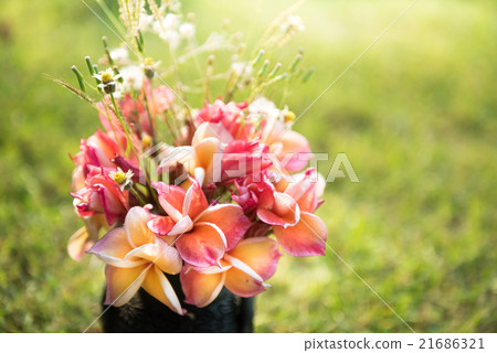plumeria flower in the vase,soft focus. plumeria flower in the vase,soft focus. 21686321