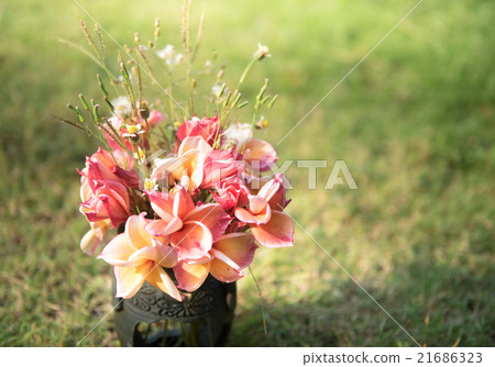 plumeria flower in the vase,soft focus. plumeria flower in the vase,soft focus. 21686323