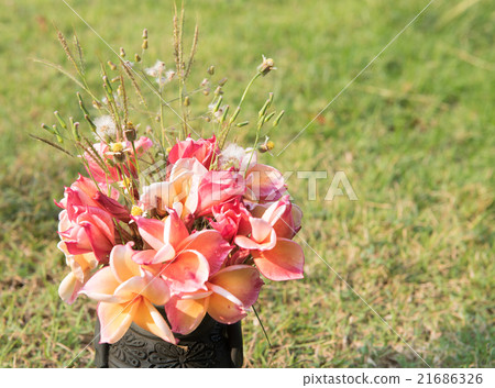plumeria flower in the vase,soft focus. plumeria flower in the vase,soft focus. 21686326