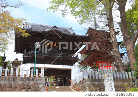 Tower of the Tokai-ji Temple and the triple tower 21686392