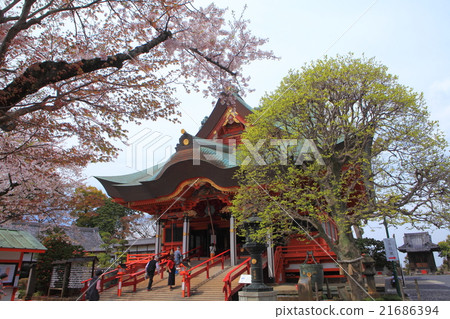 Main temple of Tokai-ji Temple Main temple of Tokai-ji Temple 21686394