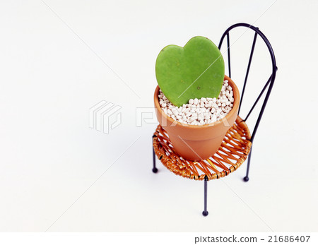 Heart joy and chair 21686407