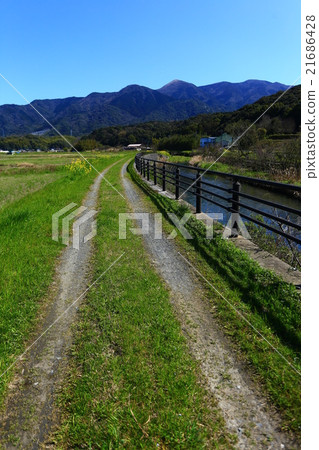 Nakata Fukushiyama Nakata Fukushiyama 21686428