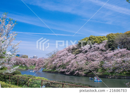 春天藍天 春天藍天 21686783