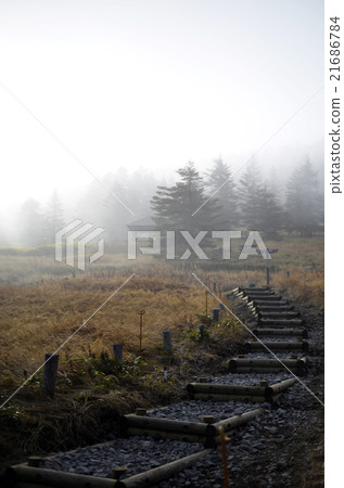 從Kita Yatsugatake的草麥峰徒步旅行 從Kita Yatsugatake的草麥峰徒步旅行 21686784