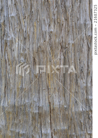 樹皮(雪松) 樹皮(雪松) 21687325