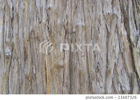 樹皮（雪松） 21687326
