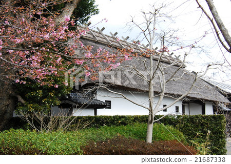 黑田公寓主樓(靜岡縣菊川市) 黑田公寓主樓(靜岡縣菊川市) 21687338