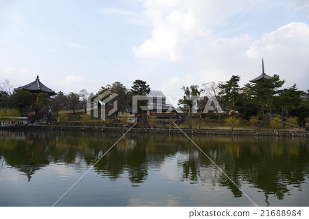 Five story pagoda of Kofuku-ji seen from Sarusawa pond and Minami dango Five story pagoda of Kofuku-ji seen from Sarusawa pond and Minami dango 21688984