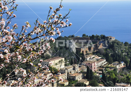 陶爾米納和杏仁花的希臘劇院 21689147