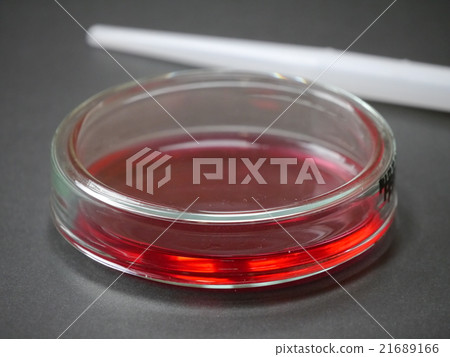Cell culture (dish) 21689166