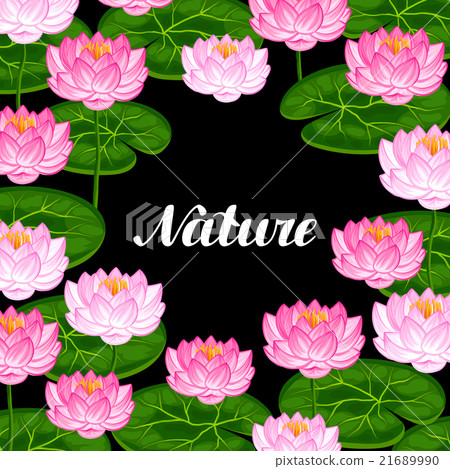 Natural background with lotus flowers and leaves 21689990