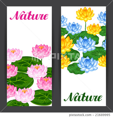 Natural banners with lotus flowers and leaves Natural banners with lotus flowers and leaves 21689995