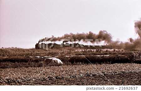 Hachimaku線D51的昭和43平成蒸汽機車 21692637