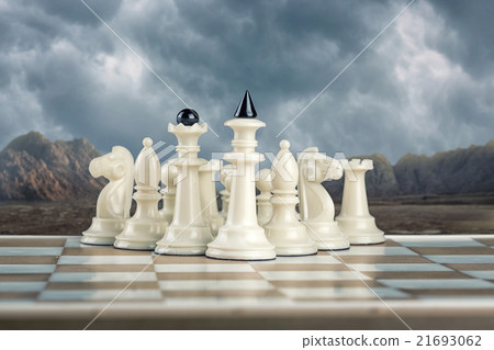 White chess team 21693062