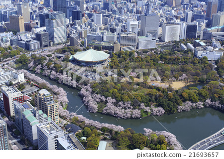 Sakura in Kitanomaru Park / Aerial shooting Sakura in Kitanomaru Park / Aerial shooting 21693657