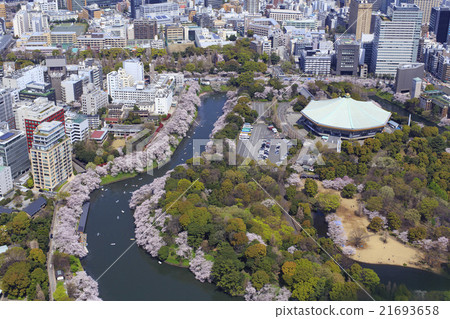 Sakura in Kitanomaru Park / Aerial shooting Sakura in Kitanomaru Park / Aerial shooting 21693658