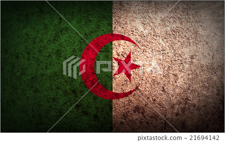 Flag of Algeria with old texture. Vector 21694142