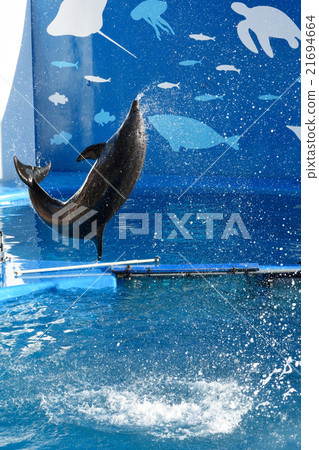 Sendai · Umi no Mori Aquarium Sendai · Umi no Mori Aquarium 21694664