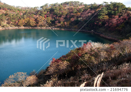 鹿兒島縣霧島市E野小原不動的池塘 21694776