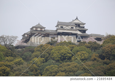 在松山城堡的櫻花 在松山城堡的櫻花 21695484