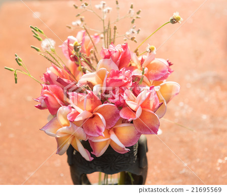 plumeria flower in the vase,soft focus. 21695569