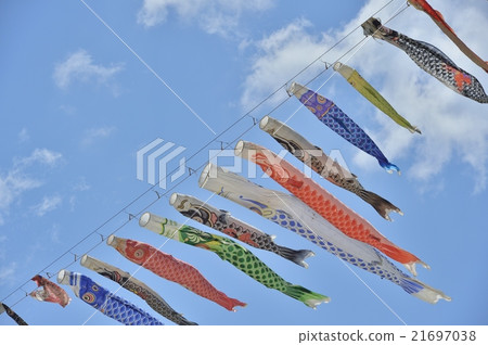河鯉魚流 河鯉魚流 21697038