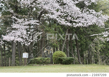 太極舞台日本藝術的發源地 太極舞台日本藝術的發源地 21697209