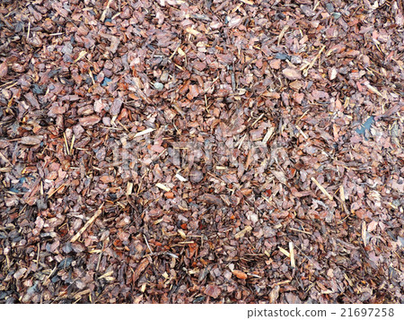 Mulch from the bark of conifers Mulch from the bark of conifers 21697258