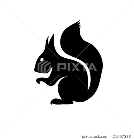 Squirrel isolated on white background Squirrel isolated on white background 21697528