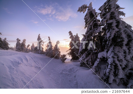 Winter landscape. Sunrise in the mountains Winter landscape. Sunrise in the mountains 21697644