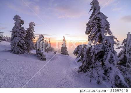 Winter landscape. Sunrise in the mountains Winter landscape. Sunrise in the mountains 21697646