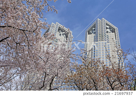 Sakura at Shinjuku Central Park and the Tokyo Metropolitan Government Sakura at Shinjuku Central Park and the Tokyo Metropolitan Government 21697937