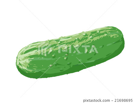 Cucumber (Kaga's cucumber) Cucumber (Kaga's cucumber) 21698695