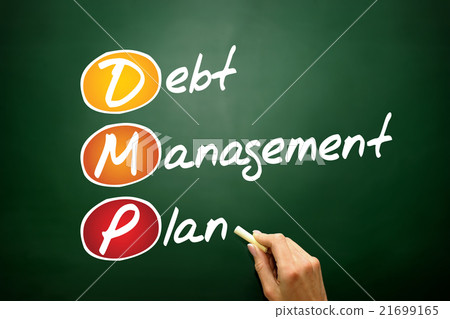 Debt Management Plan 21699165