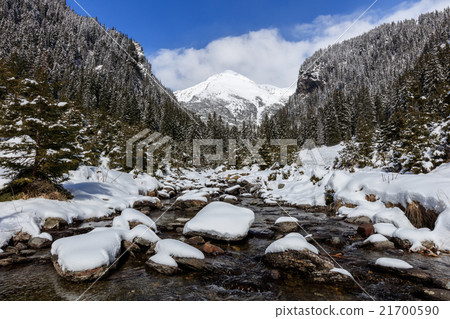 The Fagaras Mountains 21700590