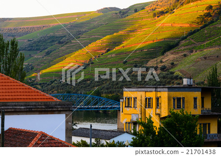 river Douro valley, Portugal 21701438