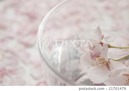 玻璃水和櫻花 21701479