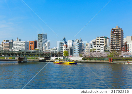 Sakura park full of cherry blossoms and the Sumidagawa pleasure boat Sakura park full of cherry blossoms and the Sumidagawa pleasure boat 21702216