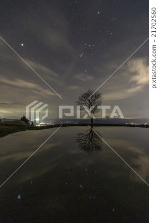 Kawaguchi Nagaoka City Niigata Prefecture Orion seats of Yozora and reflections on the rice paddies (vertical composition) 21702560