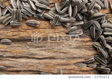 sunflower seeds. 21703511