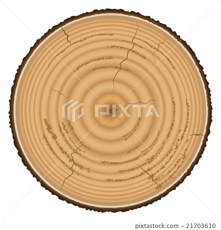 Lumber wood isolated on white background Lumber wood isolated on white background 21703610