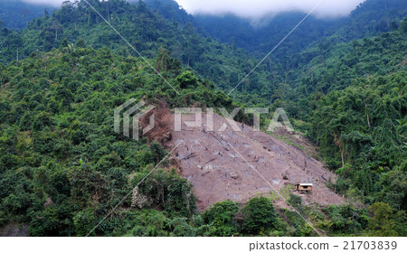 Deforest, Viet Nam, forest, Vietnam, disaster Deforest, Viet Nam, forest, Vietnam, disaster 21703839